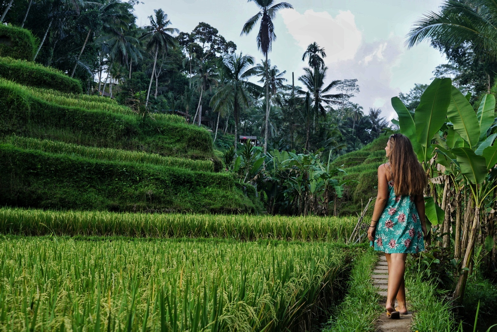 Spaziergang durch die Reisterrassen von Ubud